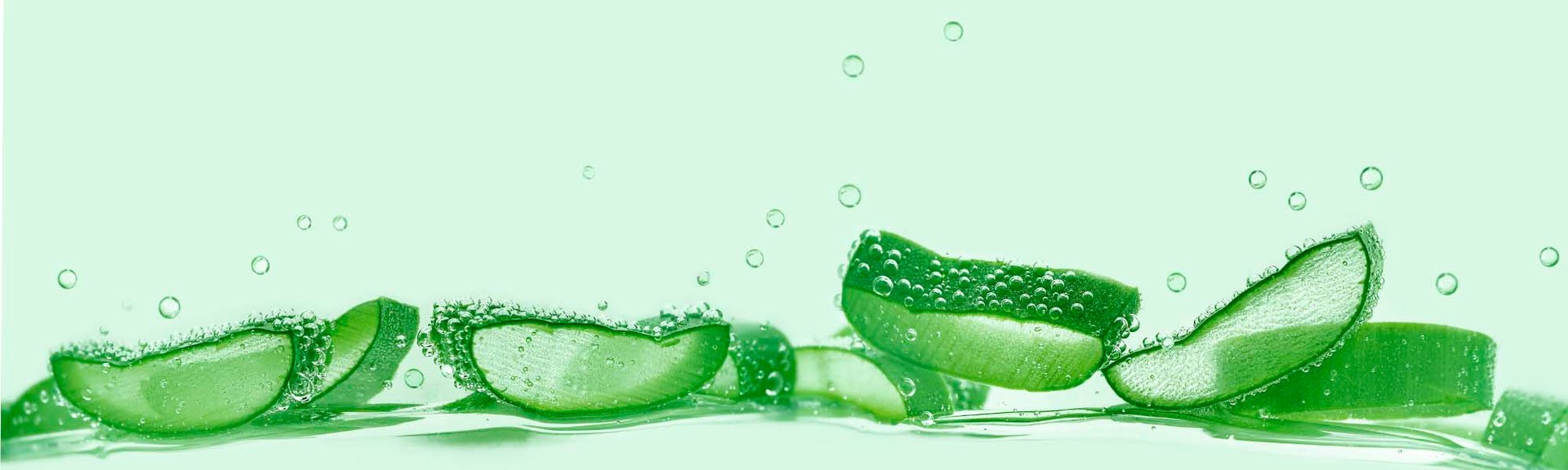 Aloe Vera Banner Shutterstock 2108033243